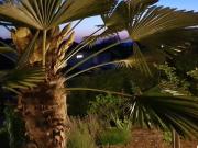 Voll möblierte und luxuriös ausgestattete 2 Zi Wohnung...