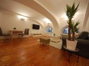 voll möbliertes business appartment in zentraler Lage...