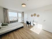 Vollmöbliertes Apartment mit Terasse frisch saniert