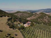 Volterra: vendesi bellissima azienda con 12 ettari di...