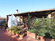 Volterra: vendesi bellissimo appartamento con grande...