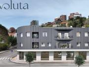 Voluta