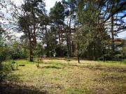 von Privat an Privat: kein Grundstück zum Träumen,...