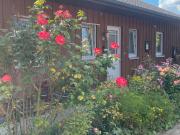 VORANKÜNDIGUNG! EFH im Skandinavien Stil in Wildeshausen.