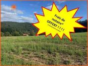 Vorey Auvergne 43800 LS94695434