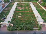 Vrindavan Vihar,Civil Lines Residential Plot For Sale...