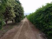 Vta Mala Terreno Av Bujama y Salitre P2 pisos Cercado...