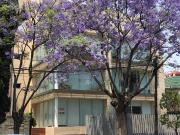 VTA Moderno GARDEN en POLANCO