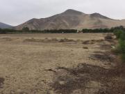 Vta Pachacamac Av Buenavista Terreno Param/2P en Condominio