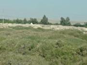 Vta Pisco Carr Panam Sur Terreno Z/Agrícola Serv/...