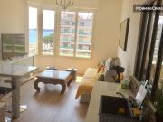 VUE PANORAMIQUE Prom. des Anglais