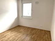W03: Helle 3 Zimmer Hochparterrewohnung – Neubau /...