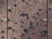 W Cloud Rd, Phoenix, Plot For Sale