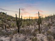 W Crestview Dr Unit,tucson, Plot For Sale