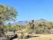 W Diamond Bell Ranch Rd Unit,tucson, Plot For Sale