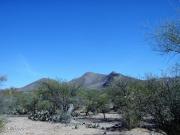 W Diamond Bell Rd Pl Unit,tucson, Plot For Sale