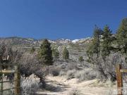 W Highway,carson City, Plot For Sale