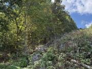 W Highway,rising Fawn, Plot For Sale