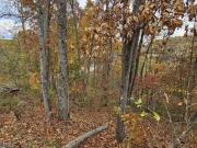 W Hwy #, Dandridge, Plot For Sale