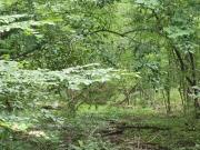 W Kimberly Rd Sw, Atlanta, Plot For Sale