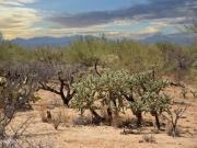 W Parkin Ln, Tucson, Plot For Sale