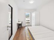 Waagner Biro Straße