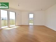 Wald – Wiese – Bach Ihre Wohnoase zum Entspannen mit...