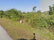 Walden St, Port Charlotte, Plot For Sale