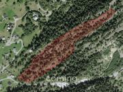 Waldgrundstück in Blatten bei Naters Naturnahes Land mit...