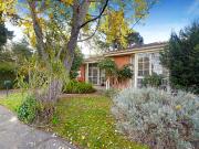 Walk to Glendal Primary School