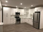 Walkout Basement in Copperfield Walkout Basement in Copperfield