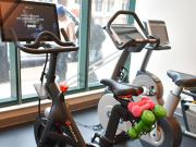 Walnut on Highland 1.5 BR 1.5 Baths Suite F Loft