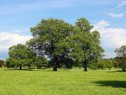 Wanted: Vacant Land Any Acreage Within 15 Minute Drive...