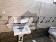 Wapda City House Sized 5 Marla For Rent Wapda City