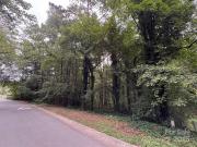 Ware Rd, Charlotte, Plot For Sale