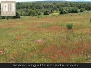 Warehouse and Office Lot For sale West Service Road...
