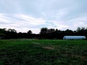 Warford St, Memphis, Plot For Sale