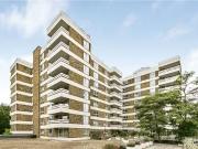 Warwick Drive, London