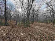 Waterway Trl Lot 70B, New Concord, KY 42076