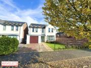 Waverley Walk, Waverley, Rotherham S60, 4 bed detached...