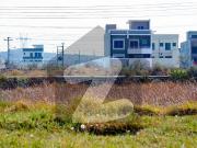 We Have 10 Marla Residential Plot For Sale In AWT Army...