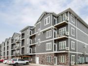 WE HELP PEOPLE DEALING WITH CREDIT ISSUES TO RENT...