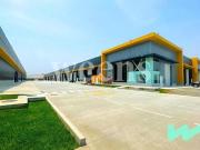 Weens Business Alquila: Nuevos Almacenes y Locales...