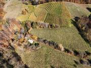 Preisanpassung ! Weingarten mit Landwirtschaft und...