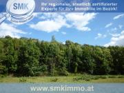 Weinkeller mit riesen Waldgrundstück Nähe A5! Weinkeller mit riesen Waldgrundstück Nähe A5!