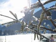 Weitläufige Grünfläche!