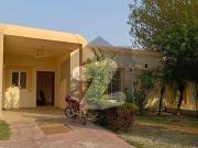 Well Maintained 5 Marla Single Story House for Sale in...