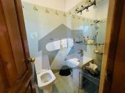 Well Maintained With Lush Garden 4 Beds Luxury House...