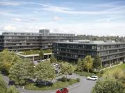 Weltpost in Sicht hier rockt dein Projekt mit Gewicht!