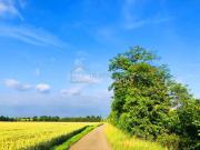 Wertvolle landwirtschaftliche Nutzfläche